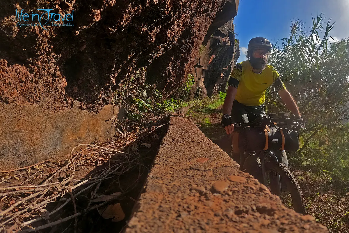 01 madeira in bici