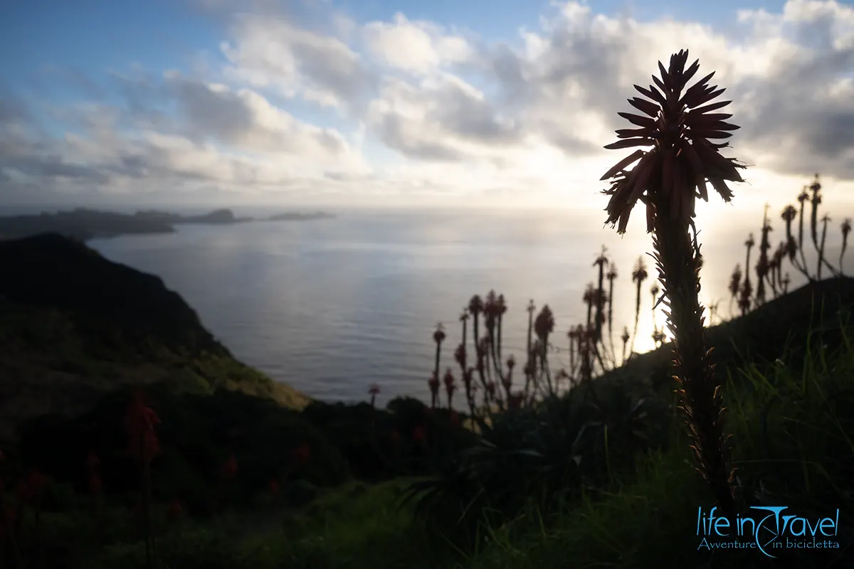 03 madeira in bici