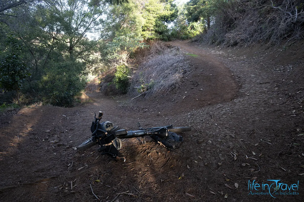 11 madeira in bici