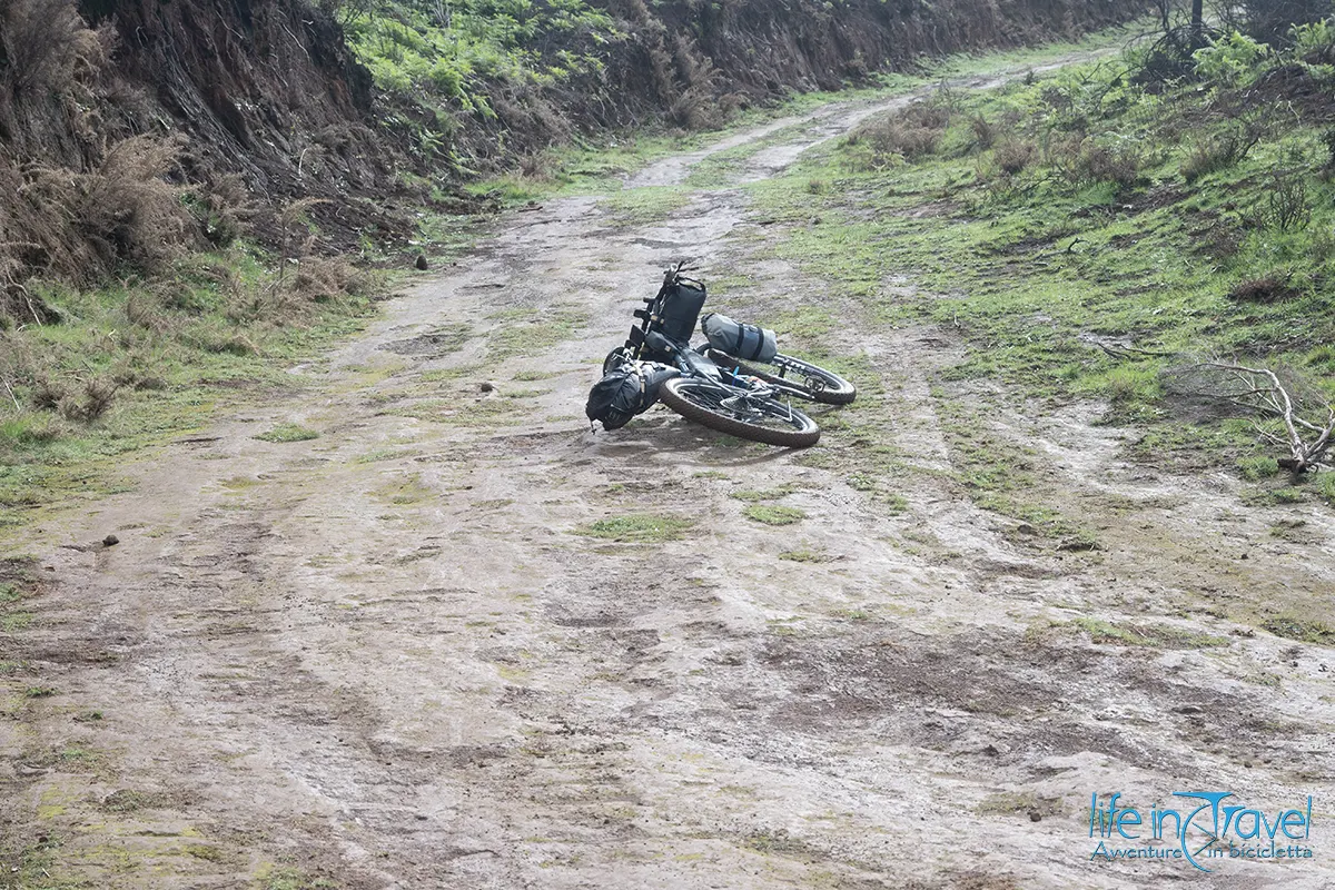 23 madeira in bici