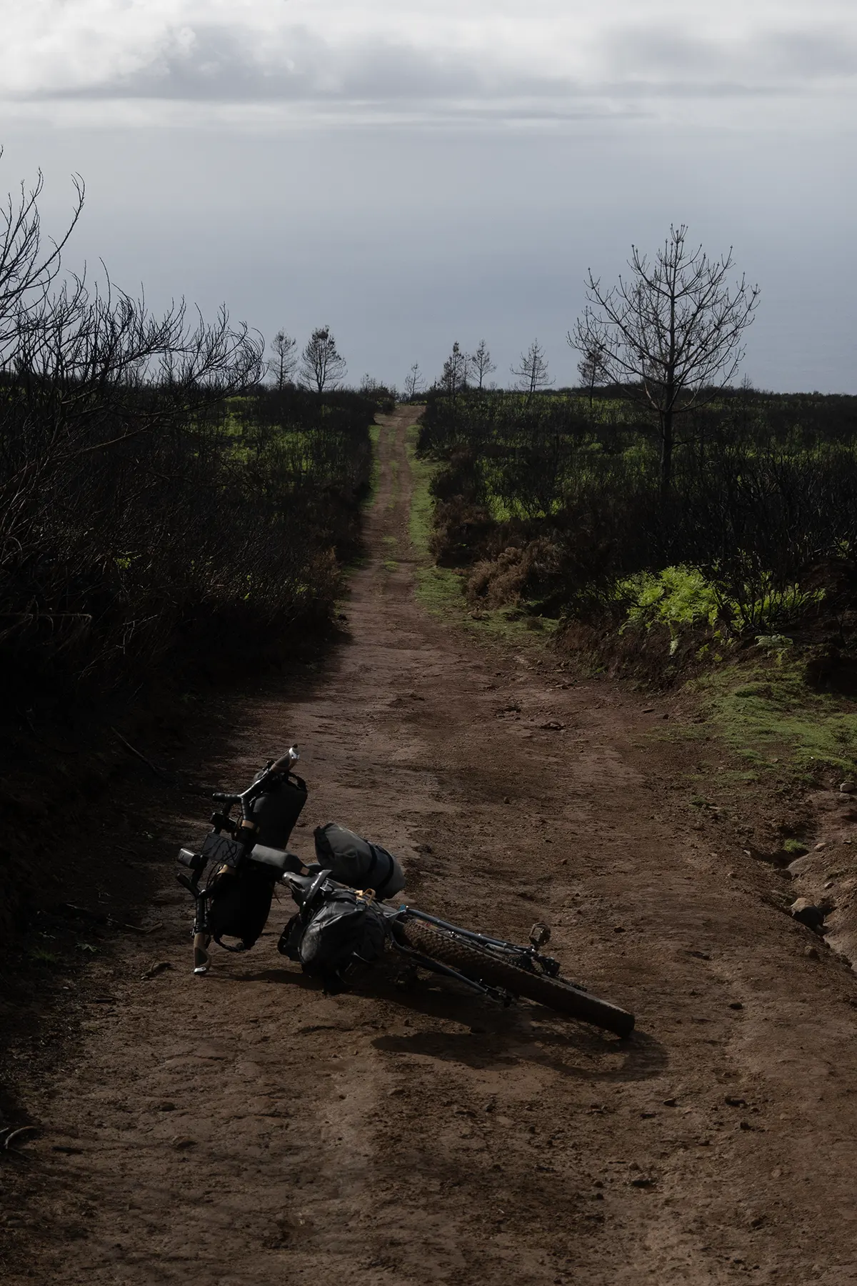 27 madeira in bici