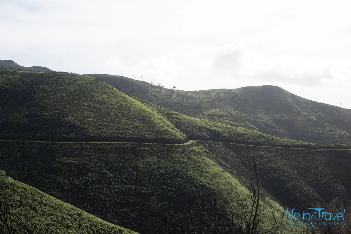 28 madeira in bici