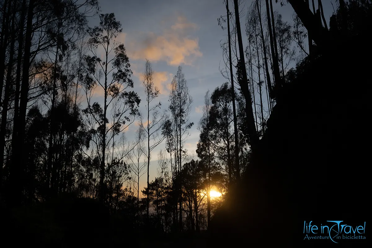 29 madeira in bici