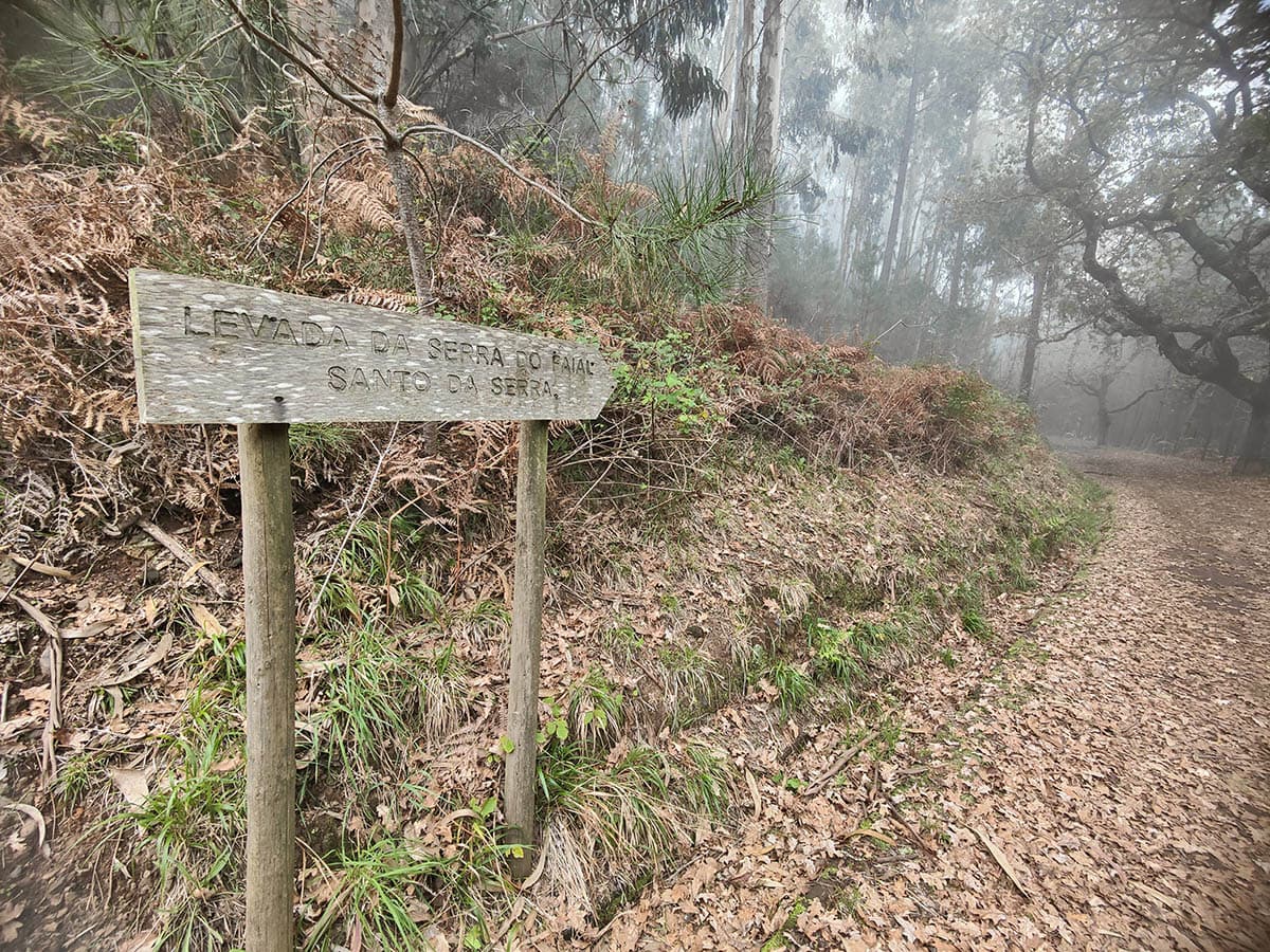 52 madeira in bici