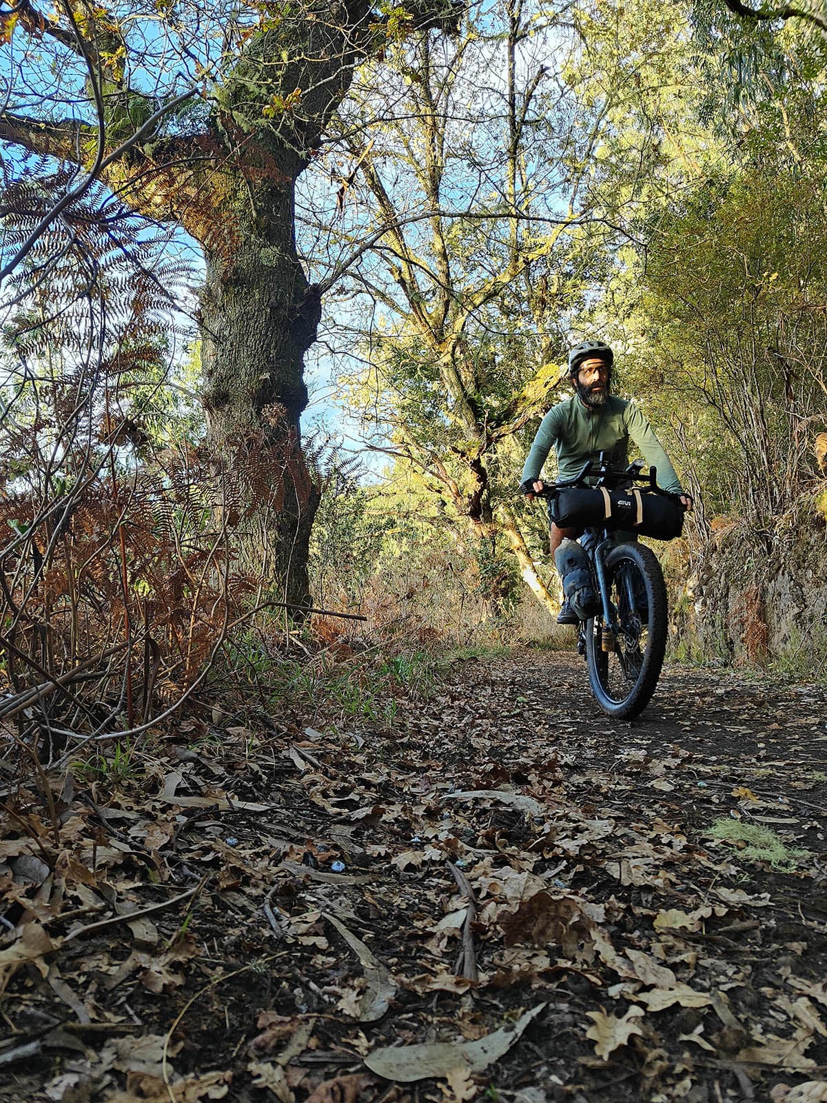 54 madeira in bici