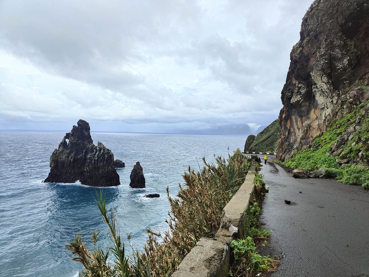 62 madeira in bici