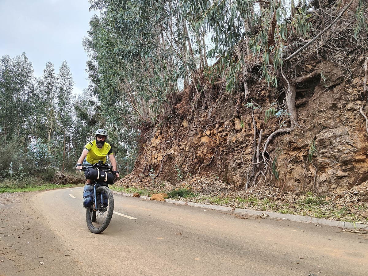 75 madeira in bici