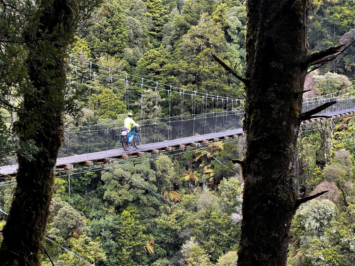 Uno dei tanti ponti sospesi lungo il Timber Trail
