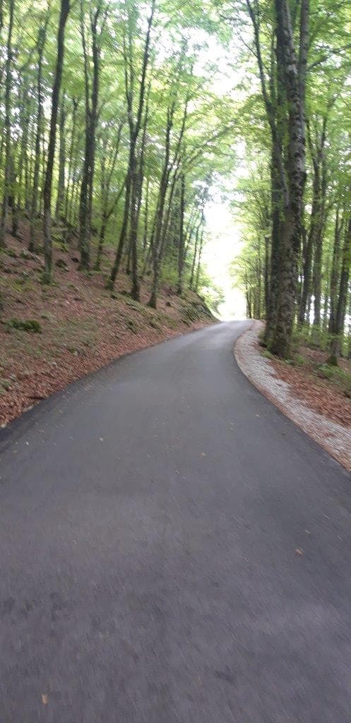 tolmin