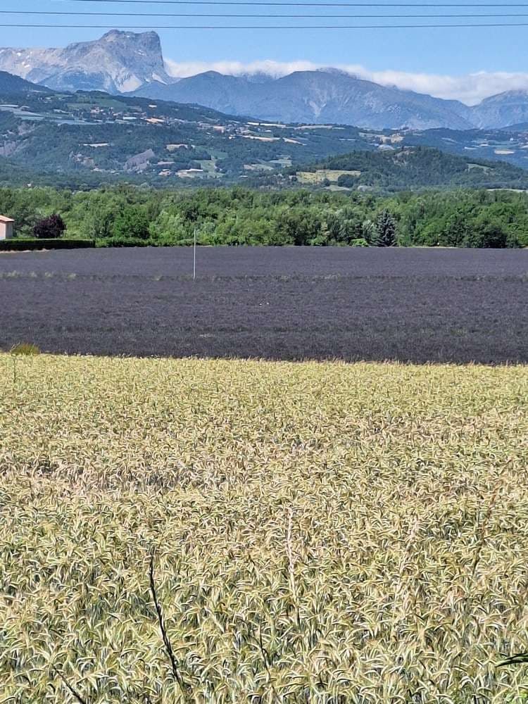 14 alpi francesi in bici