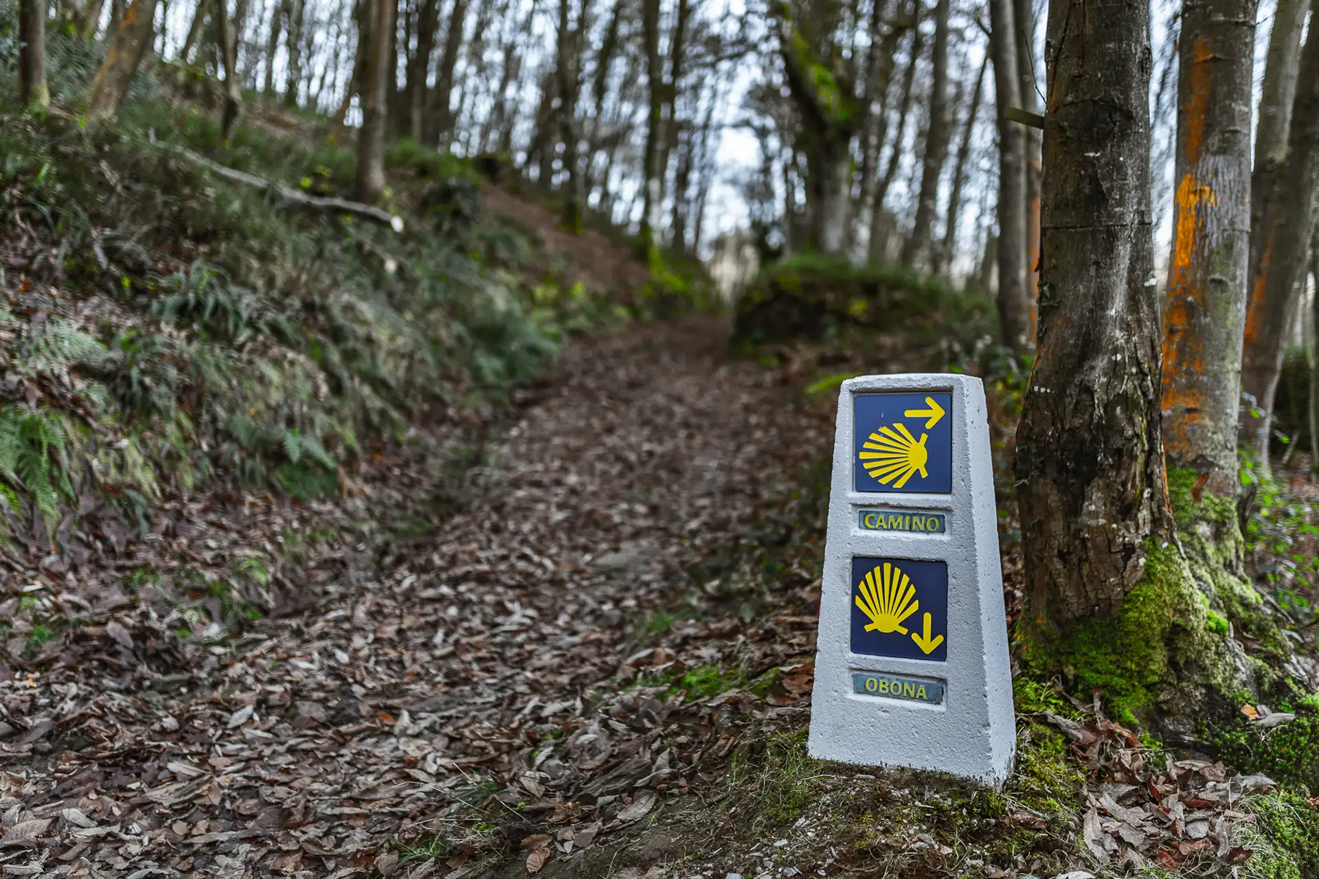 Asturie: il paradiso dove nacque il Cammino di Santiago