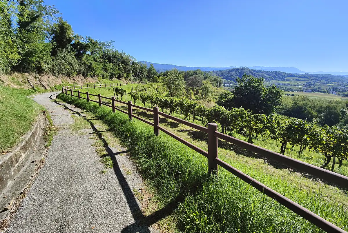fvg bike trail collio