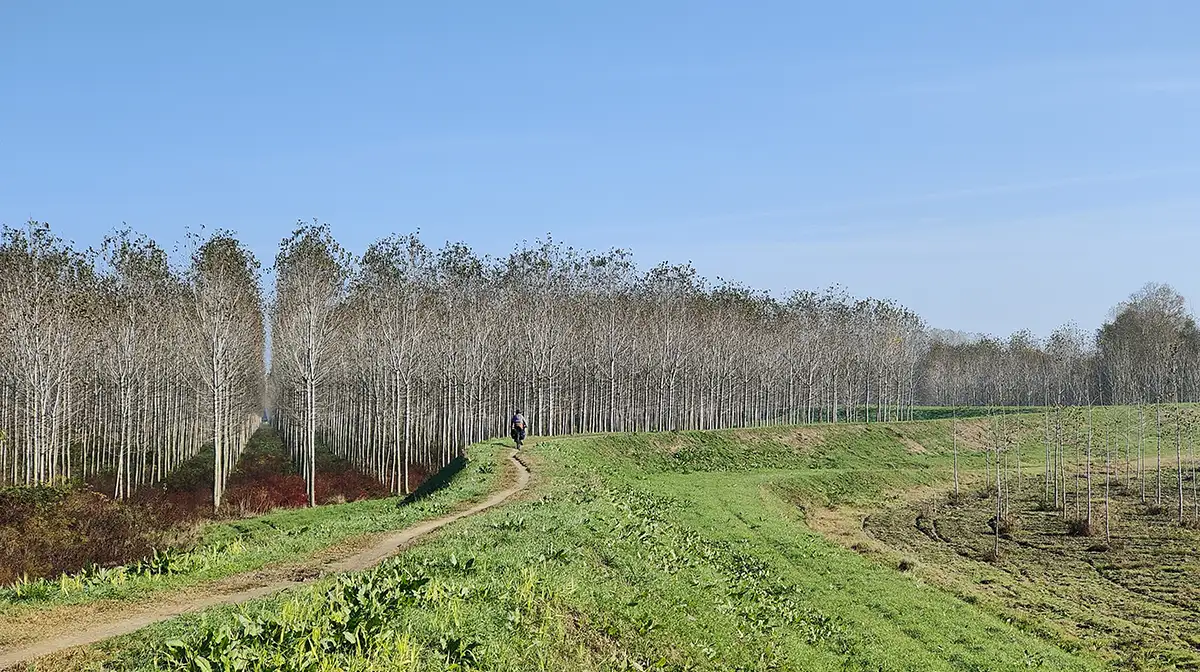 in bici al purgatorio argini po