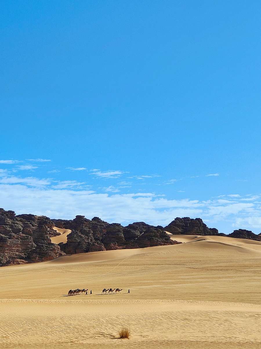 06 algeria tassili najjer