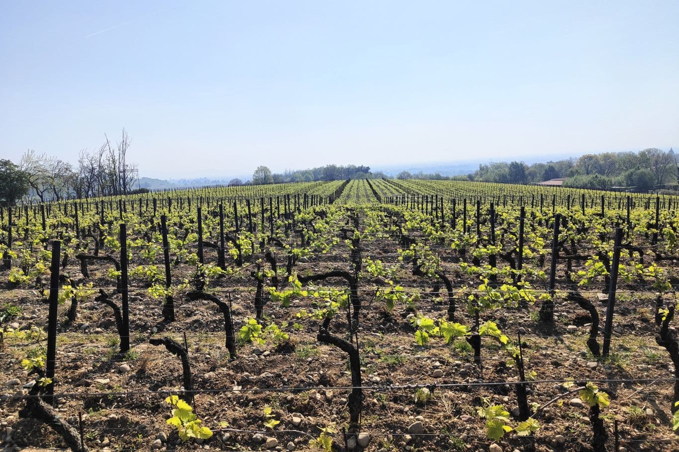 Franciacorta in bici 