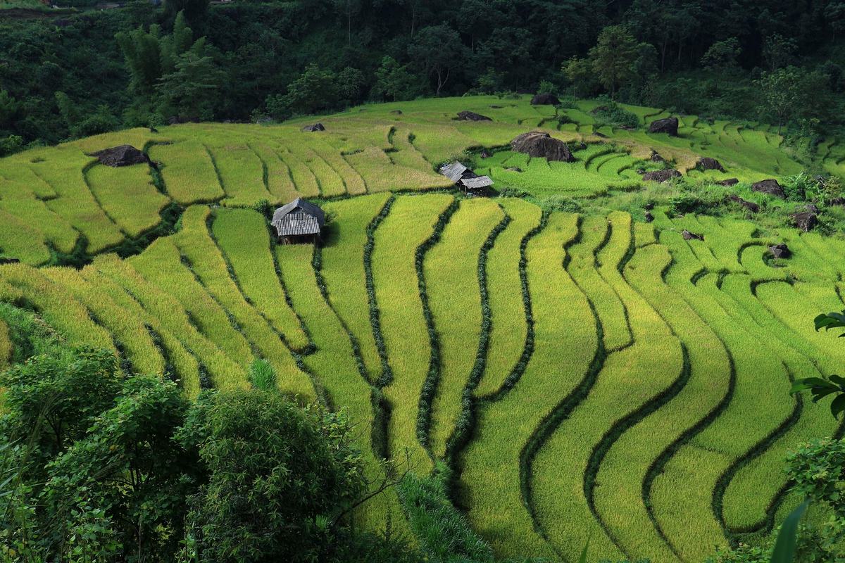 vietnam in bici