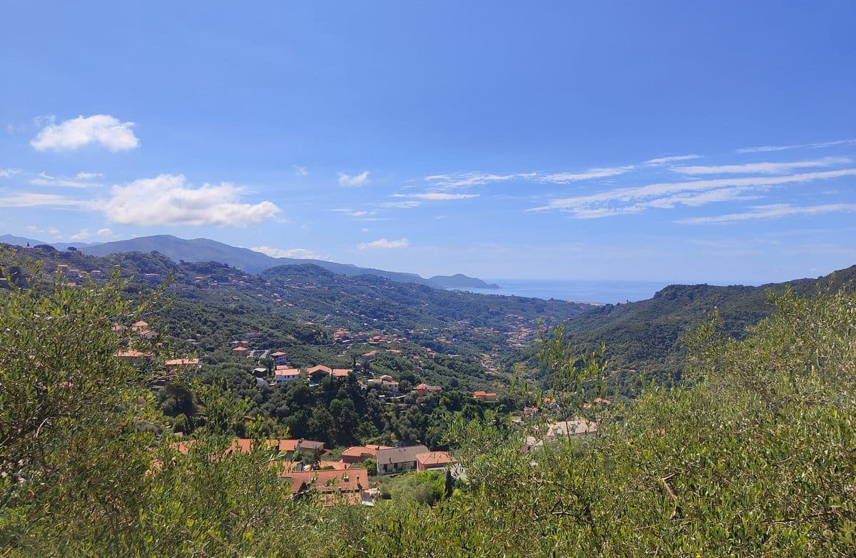 leivi panorama