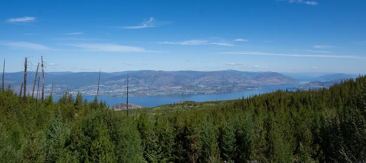 panorama
