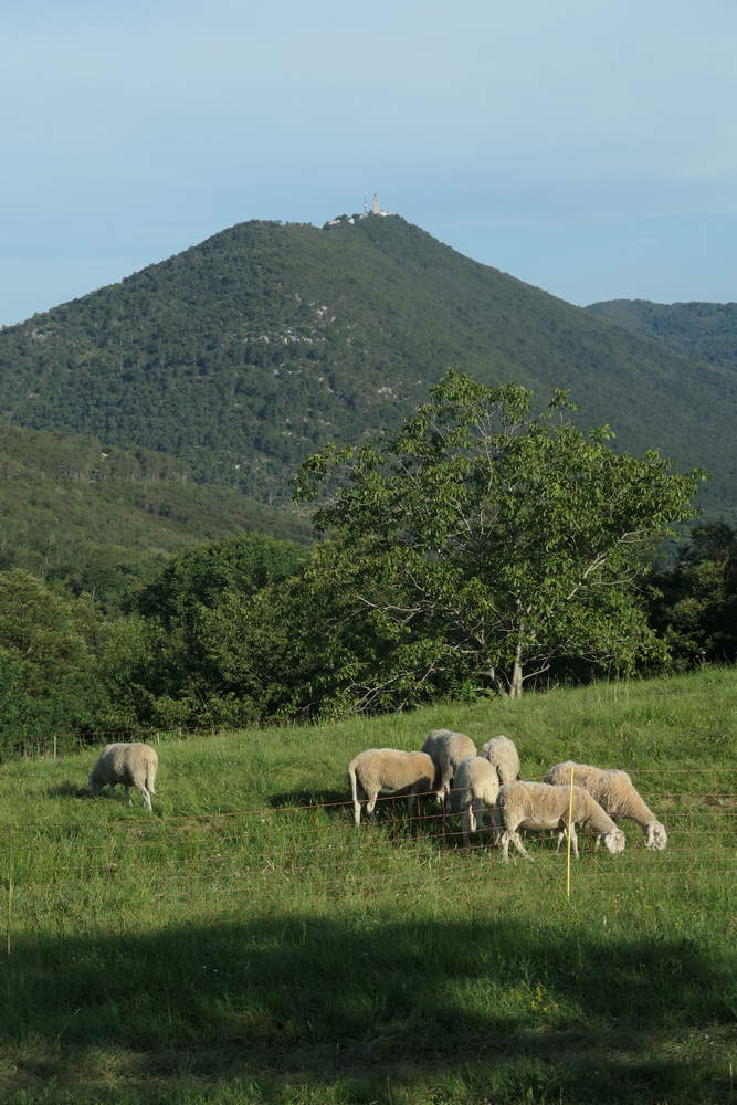 monte santo da ravnica