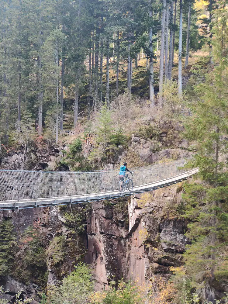 ponte sospeso travignolo
