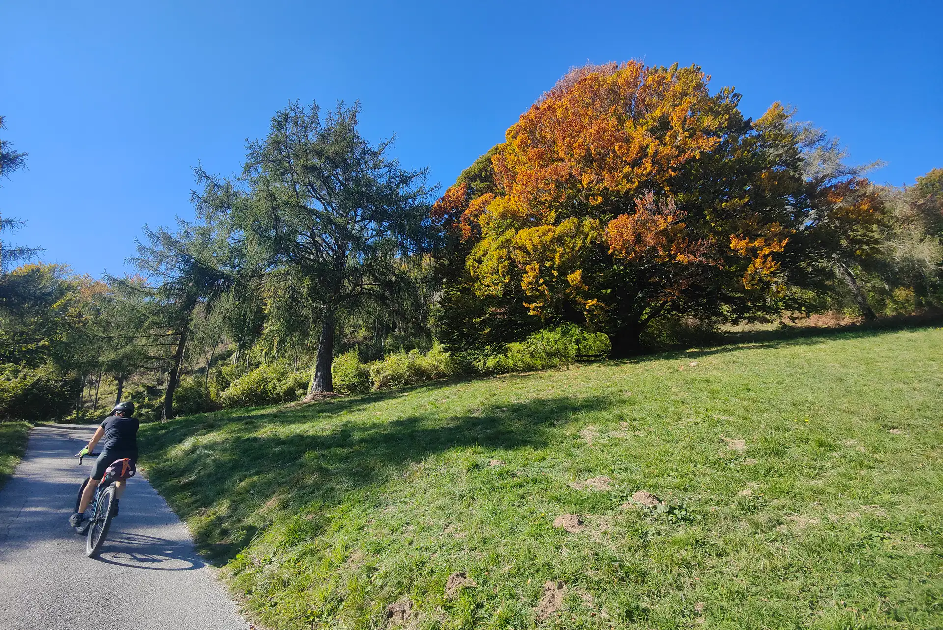 Anello del Foliage da Trento: salita a Malga Cimana e Lago di Cei in bicicletta