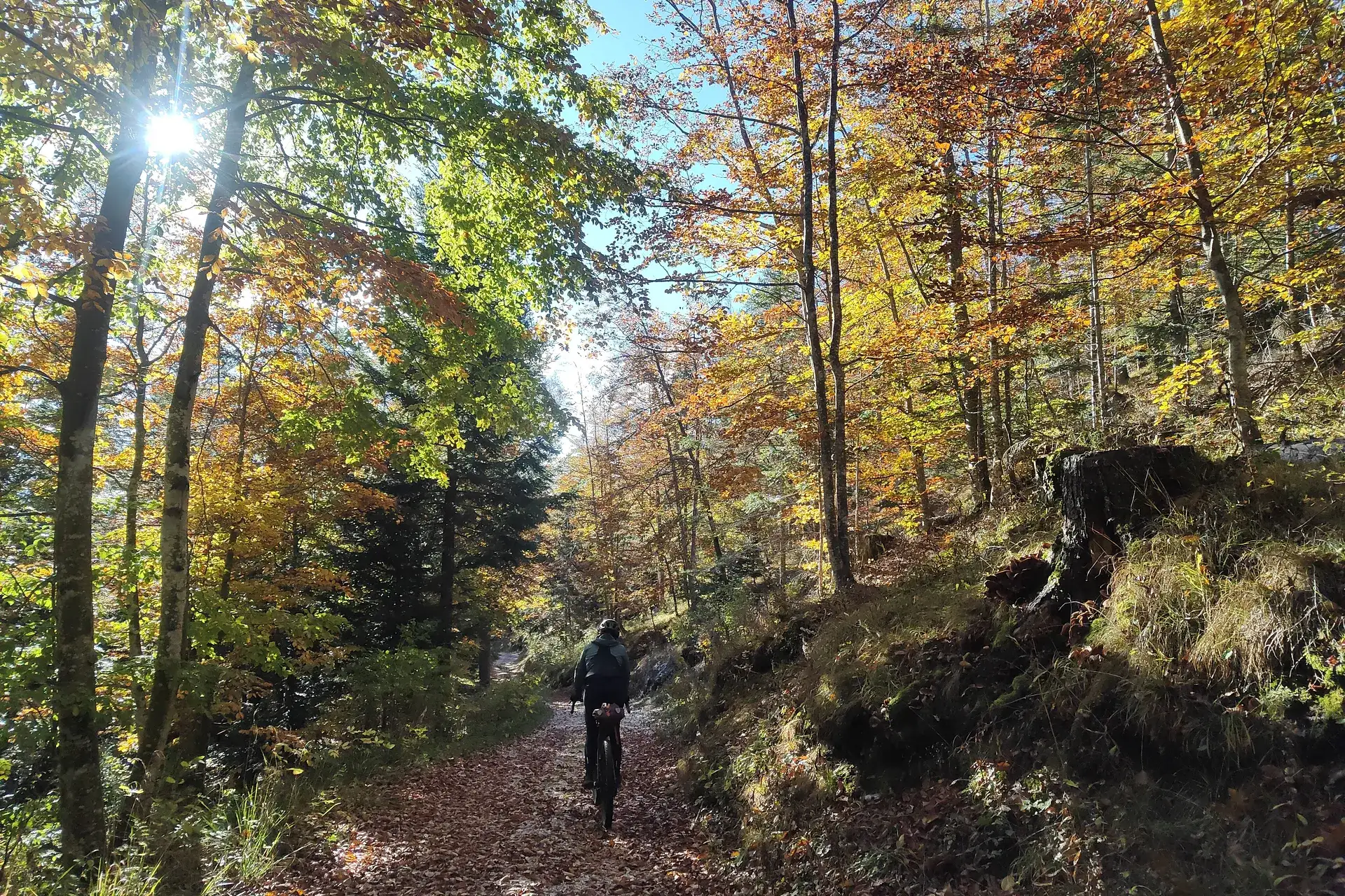 Anello del Drago: gravel loop dell'Alpe Cimbra