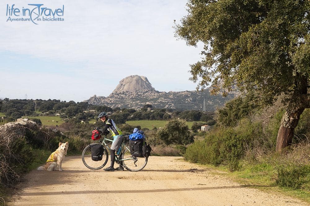 monte pulchiana verso aggius