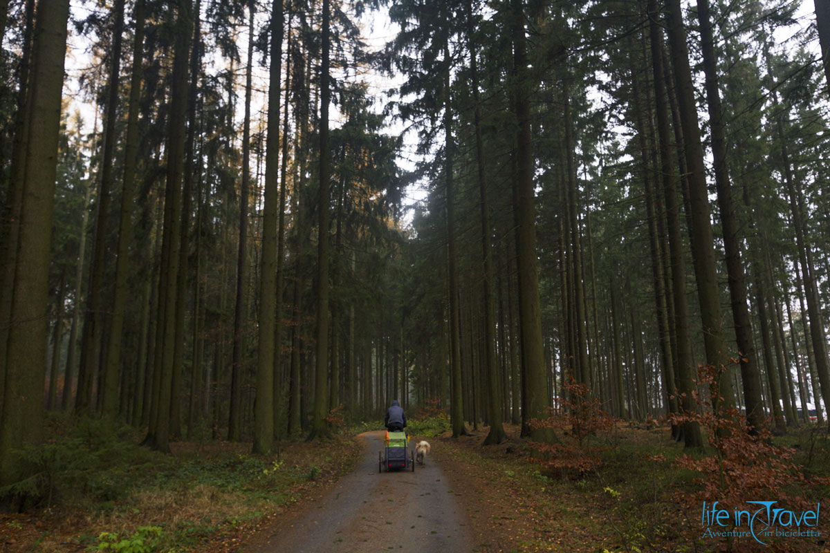 18 foreste della boemia in bici
