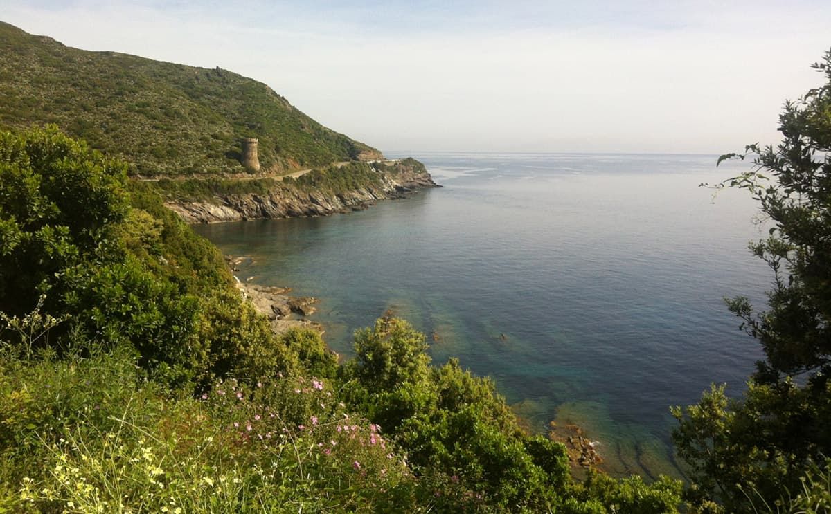corsica in bici