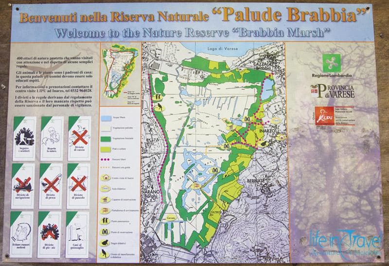 palude brabbia