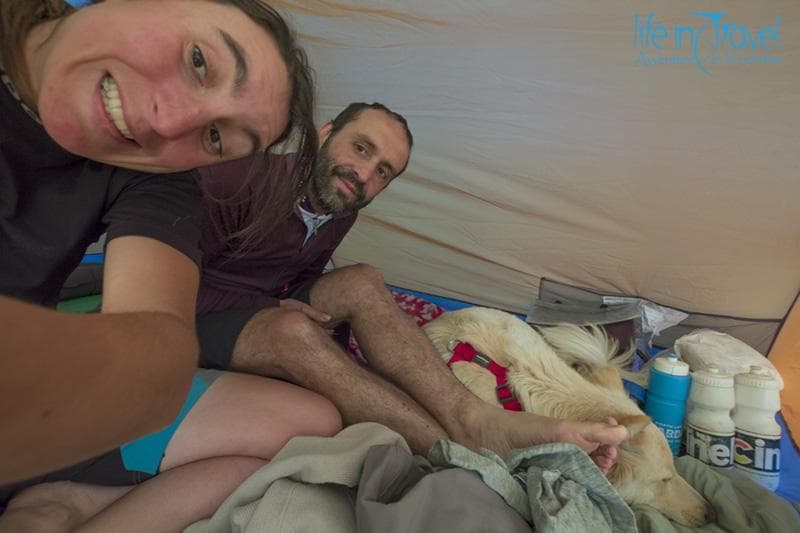 in tenda con il cane