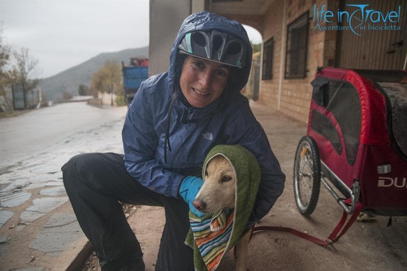 quando fuori piove in viaggio col cane