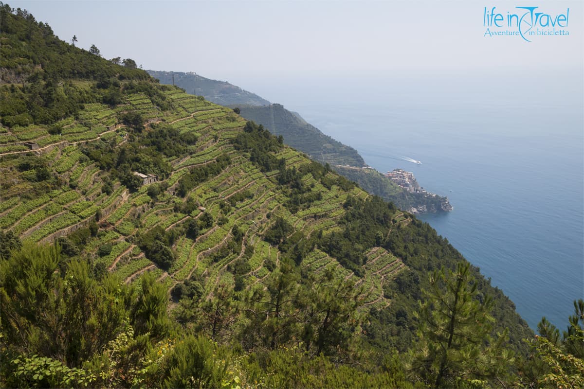 terrazzamenti sul mare panoramica delle 5 terre in bici