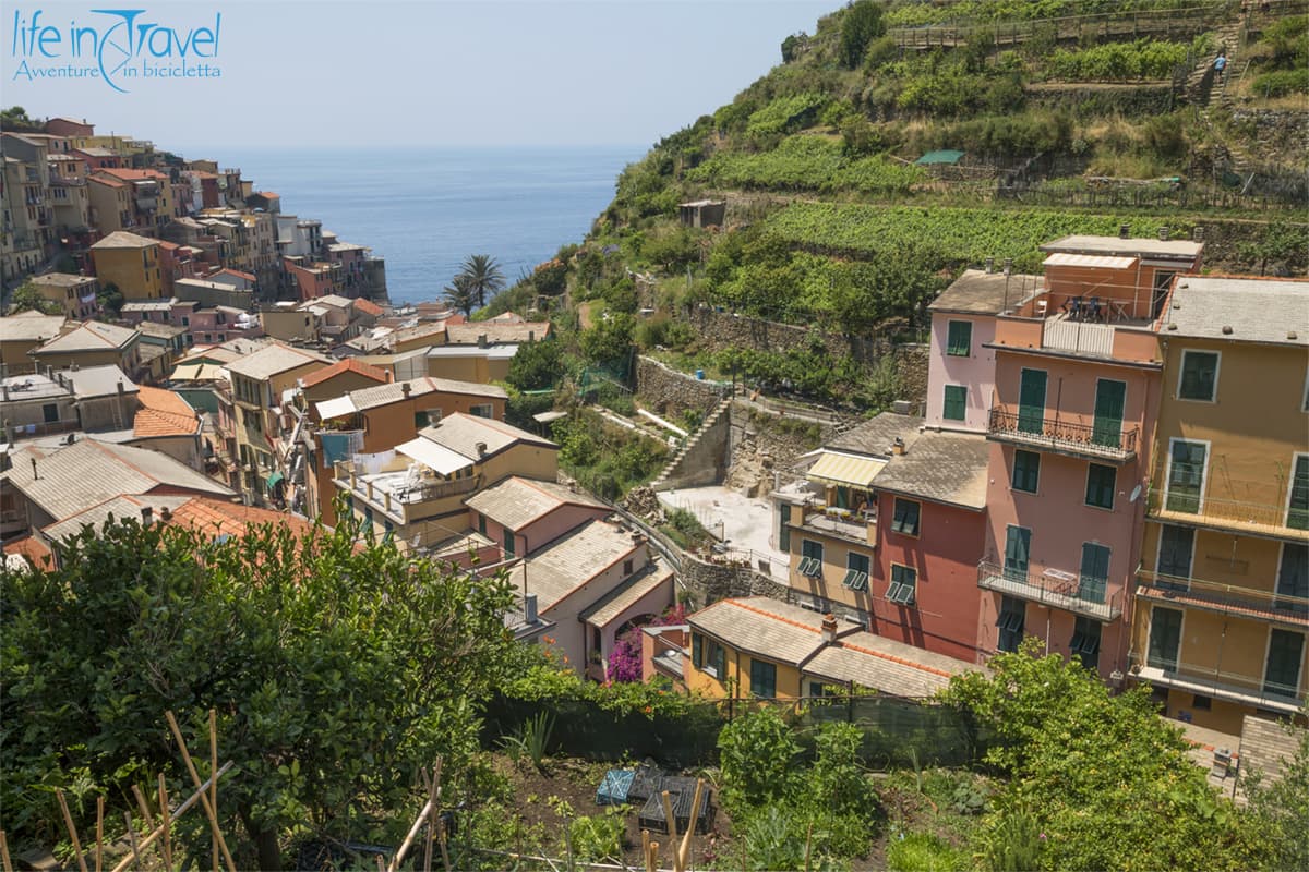 vernazza centro