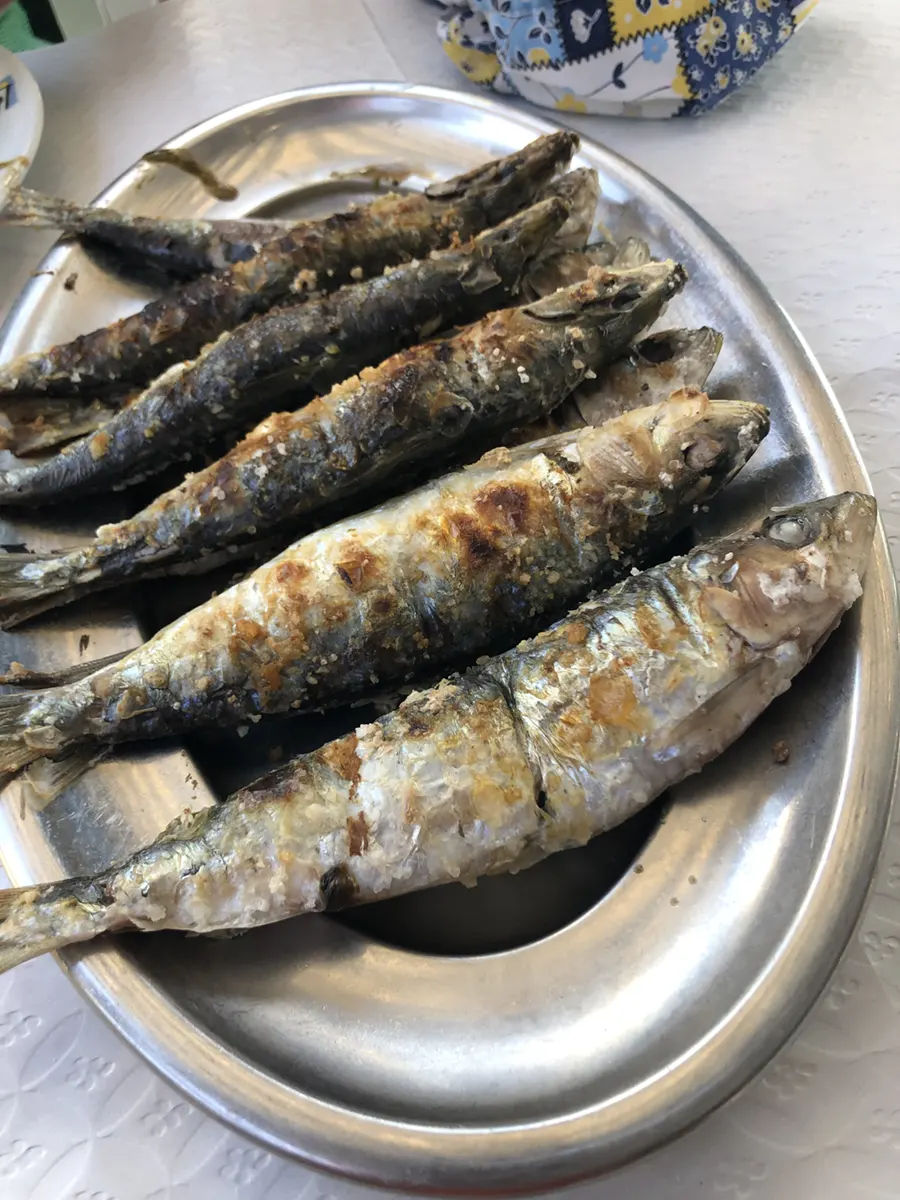 sardine