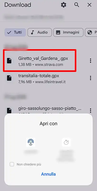 aprire file gpx diretto