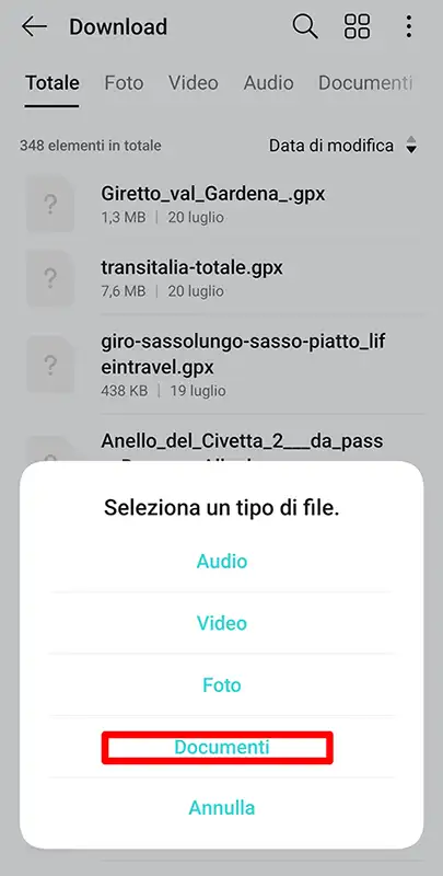 aprire file gpx documenti