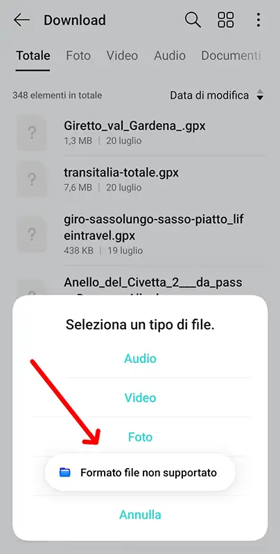 aprire file gpx non supportato