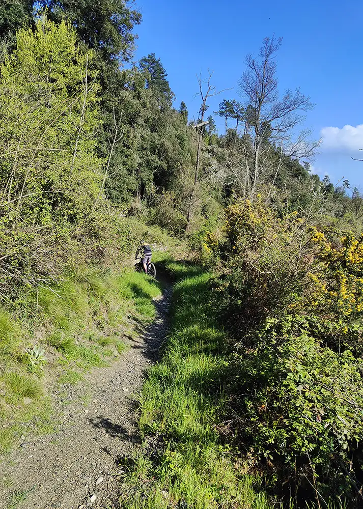 levante in bici sentiero colletto