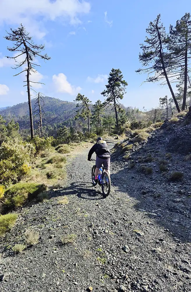 levante in bici colletto