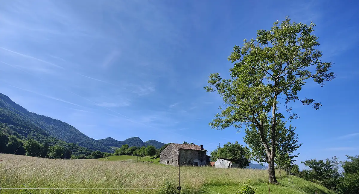 localita nandovere
