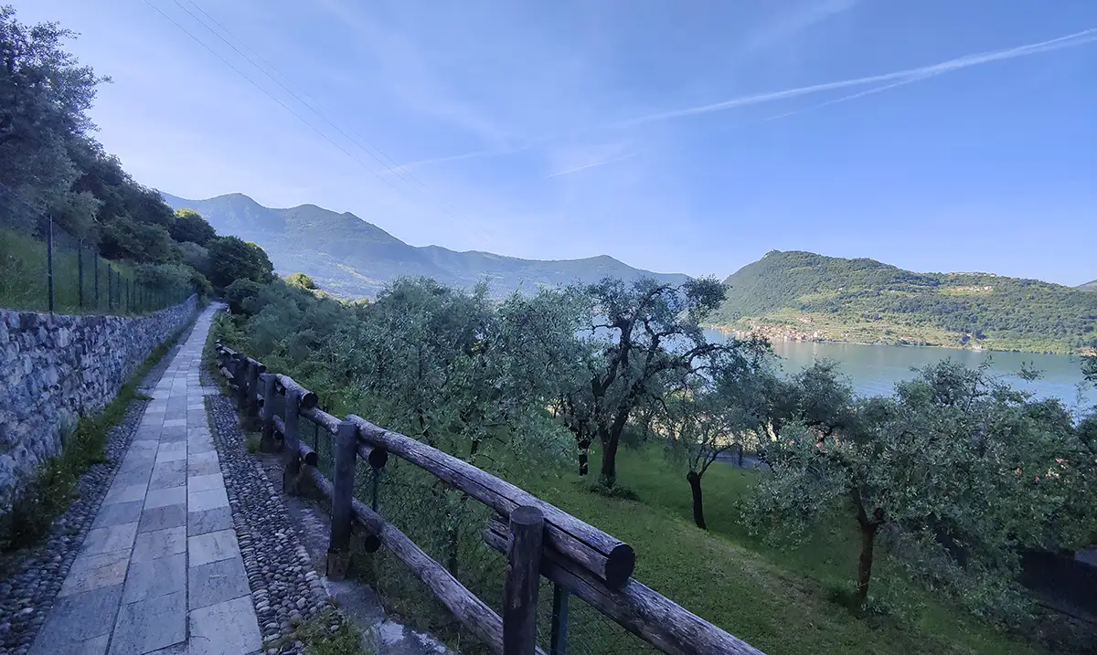  via valeriana