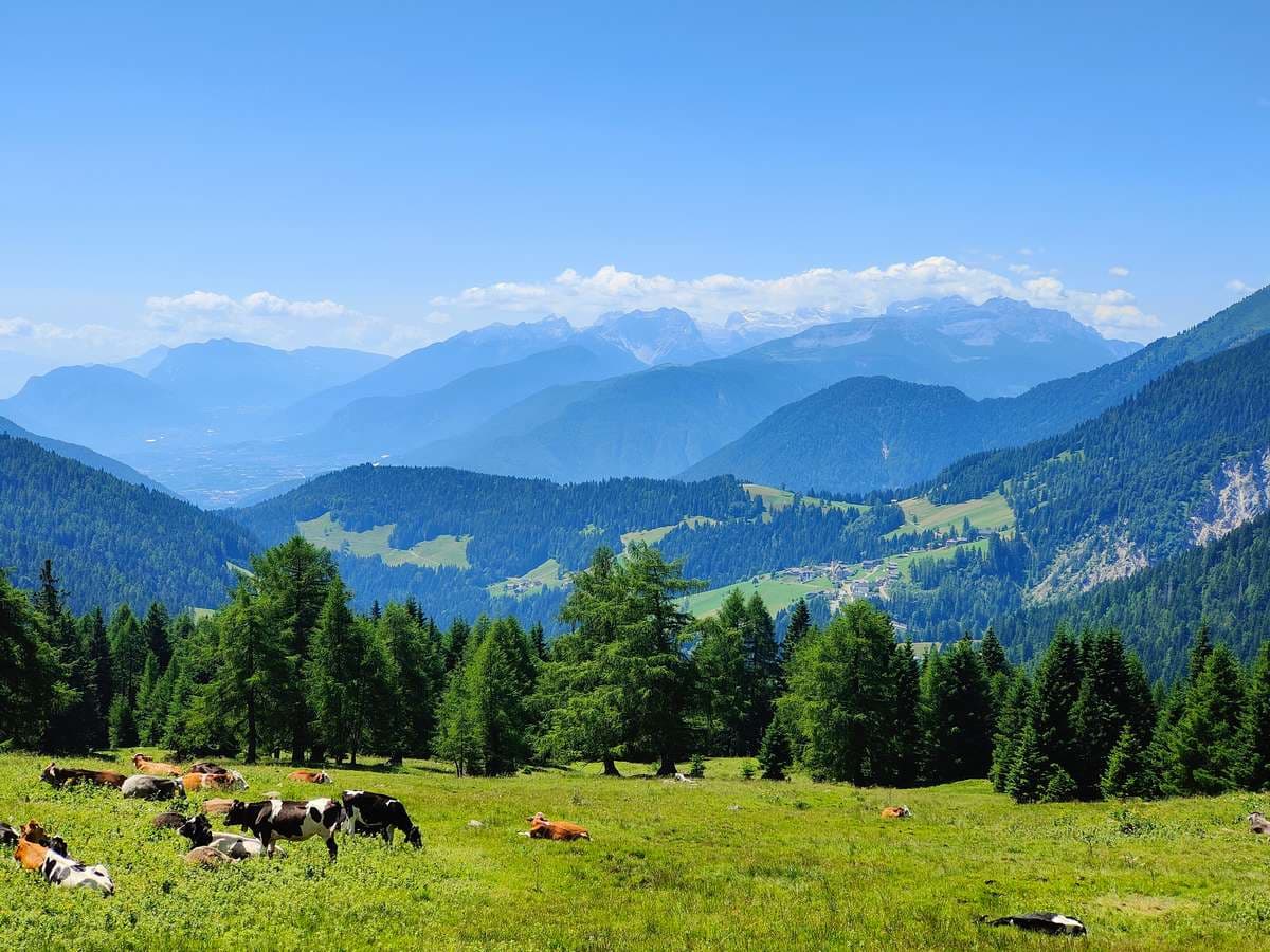 malghe dell alta val di non in bici