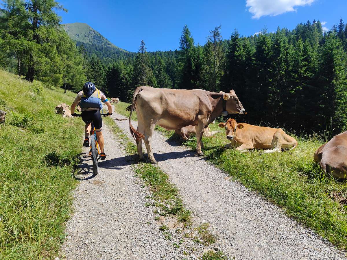 malghe dell alta val di non in bici