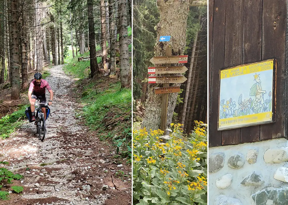 discesa carestiato giro monte civetta in gravel