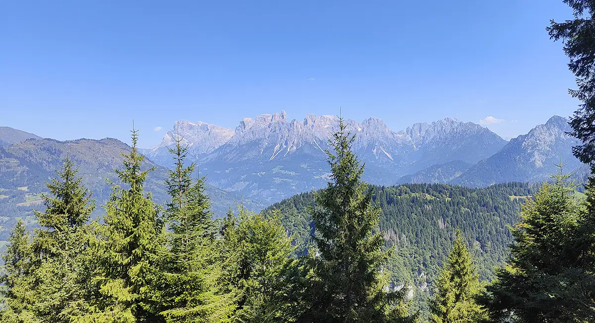alpe vederna in mtb pale s martino