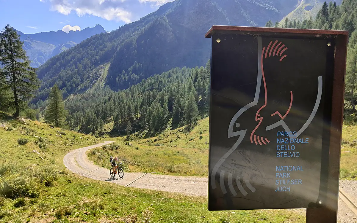 anello passo cercen parco stelvio