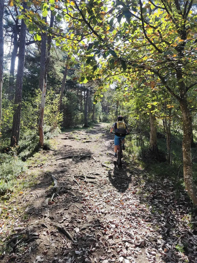 sentiero roen mtb