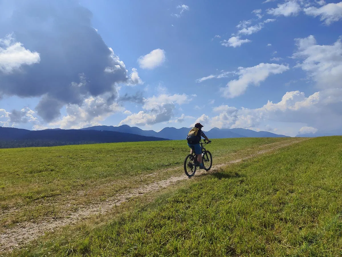 7 larici roen mtb