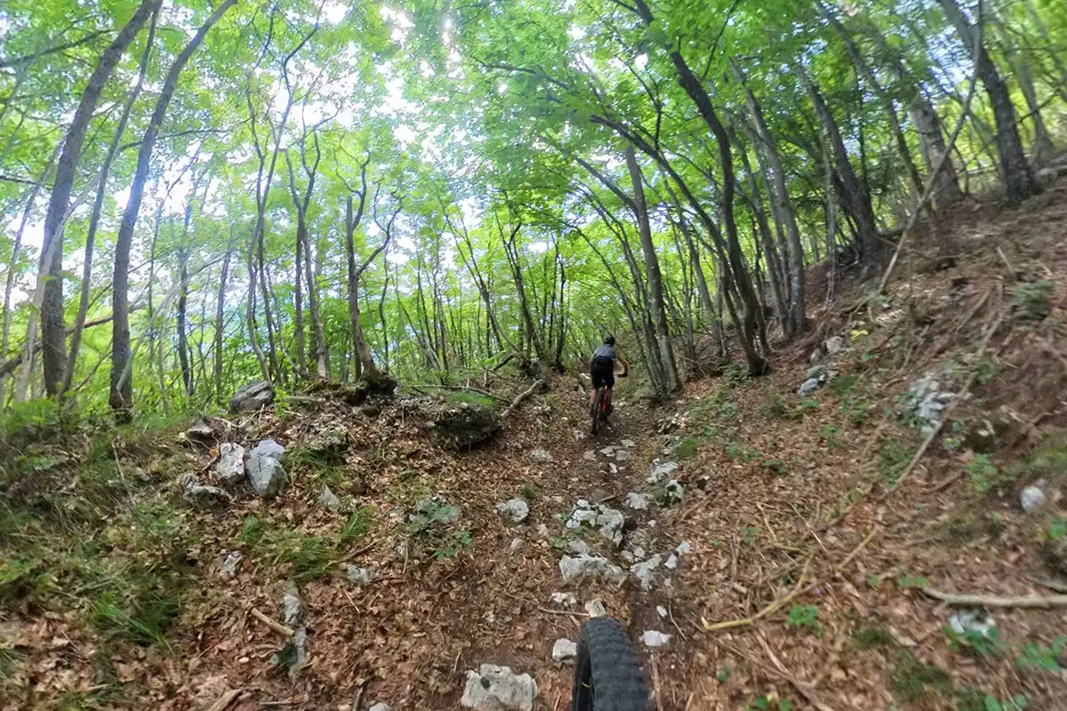 12 bondone mtb